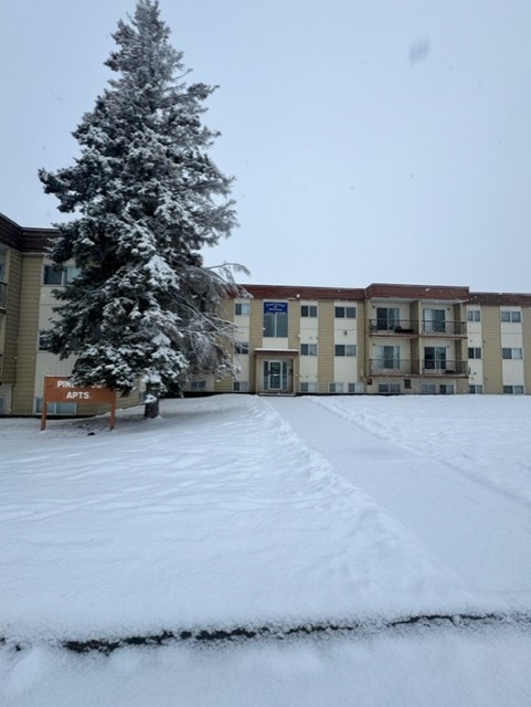 9004 86 Street - 302